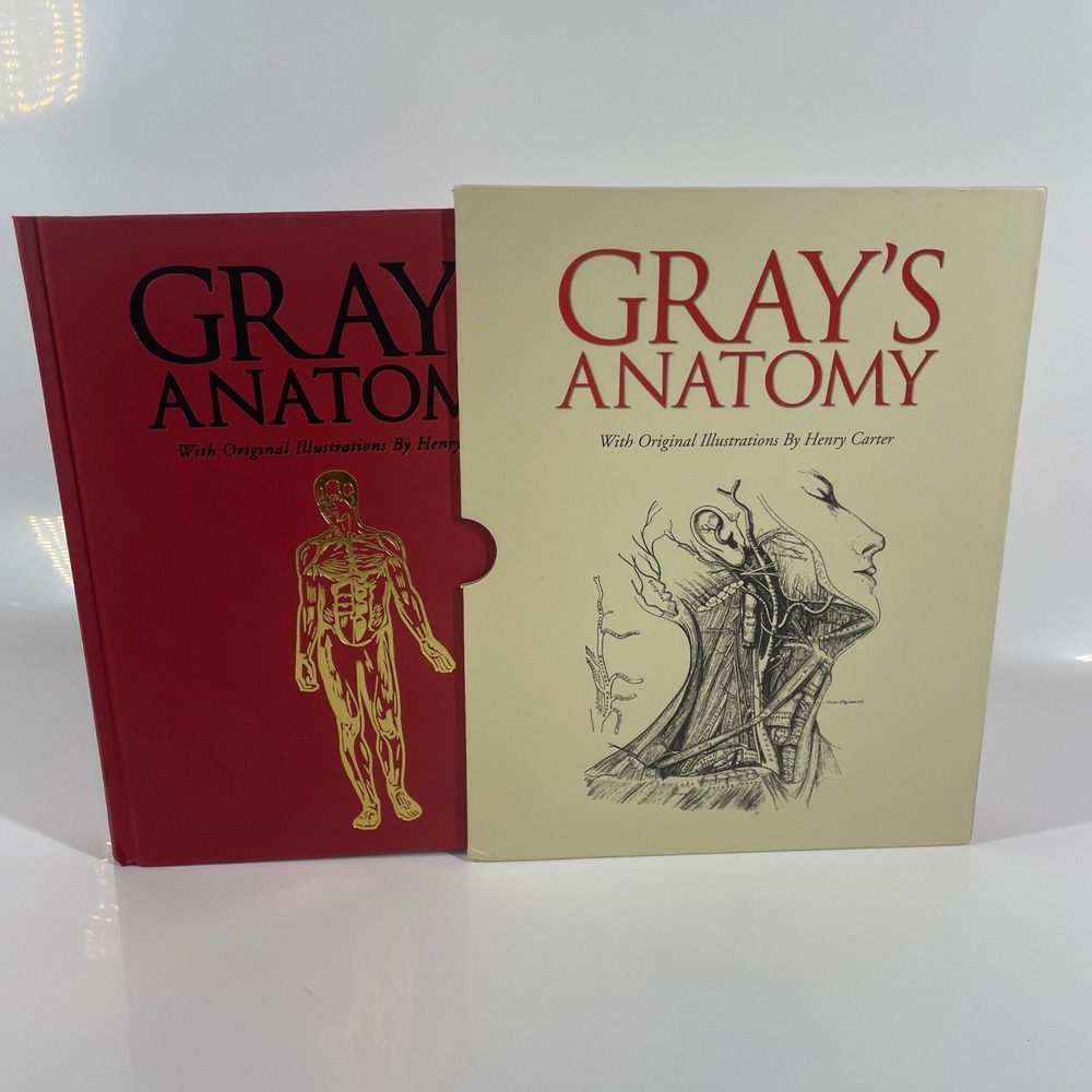 Grays Anatomy Classic 1860 Text Abridged Slipcase Arcturus 2019 Hardcover